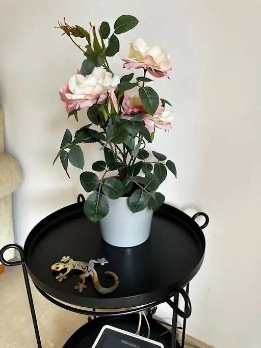 Apartamento Violetas Del Teide Puerto de la Cruz